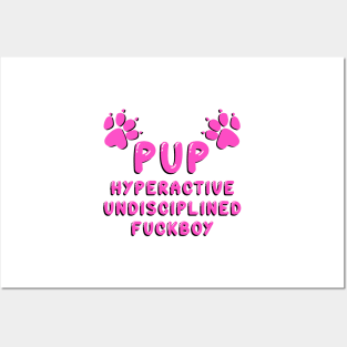 PUP - DEFINED PINK Posters and Art